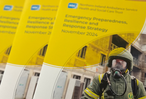 Photo of the NIAS strategy document